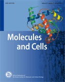 Cover of Molecules and Cells