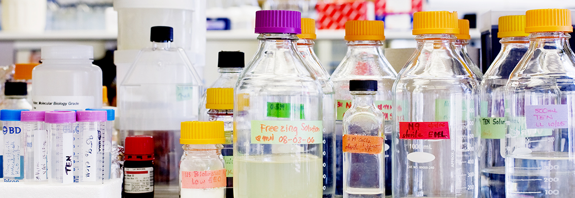 Give to UNM Chemistry and Chemical Biology