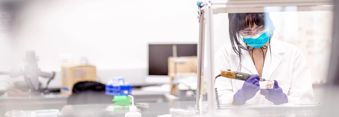 Publications: A Highly Active Faculty